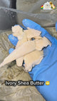 Organic Raw Shea Butter <br><br>Unrefined Grade A | West African Ivory Shea Butter <br><br>8oz & 16oz Jars